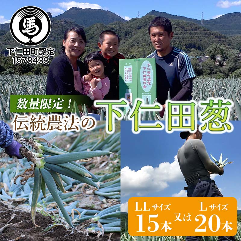 伝統農法の下仁田葱(LL15本またはL20本) とろける 甘い ねぎ ネギ 王様ねぎ 特産 栄養たっぷり ブランド 上州ねぎ すきやき F21K-574