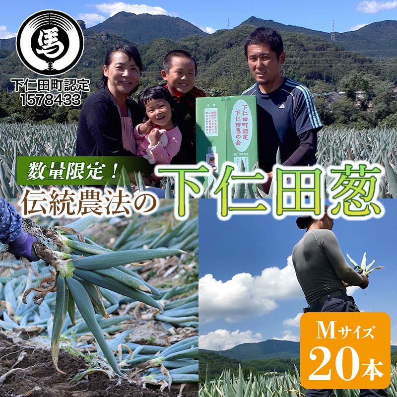 伝統農法の下仁田葱(M 20本) とろける 甘い ねぎ ネギ 王様ねぎ 特産 栄養たっぷり ブランド 上州ねぎ すきやき F21K-573