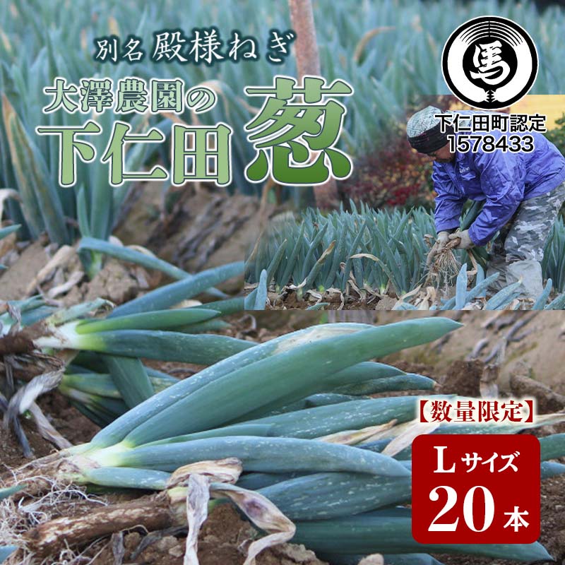 別名“殿様ねぎ” 大澤農園の下仁田葱(L 20本) とろける 甘い ねぎ ネギ 王様ねぎ 殿様ねぎ 特産 栄養たっぷり ブランド 上州ねぎ すきやき F21K-598