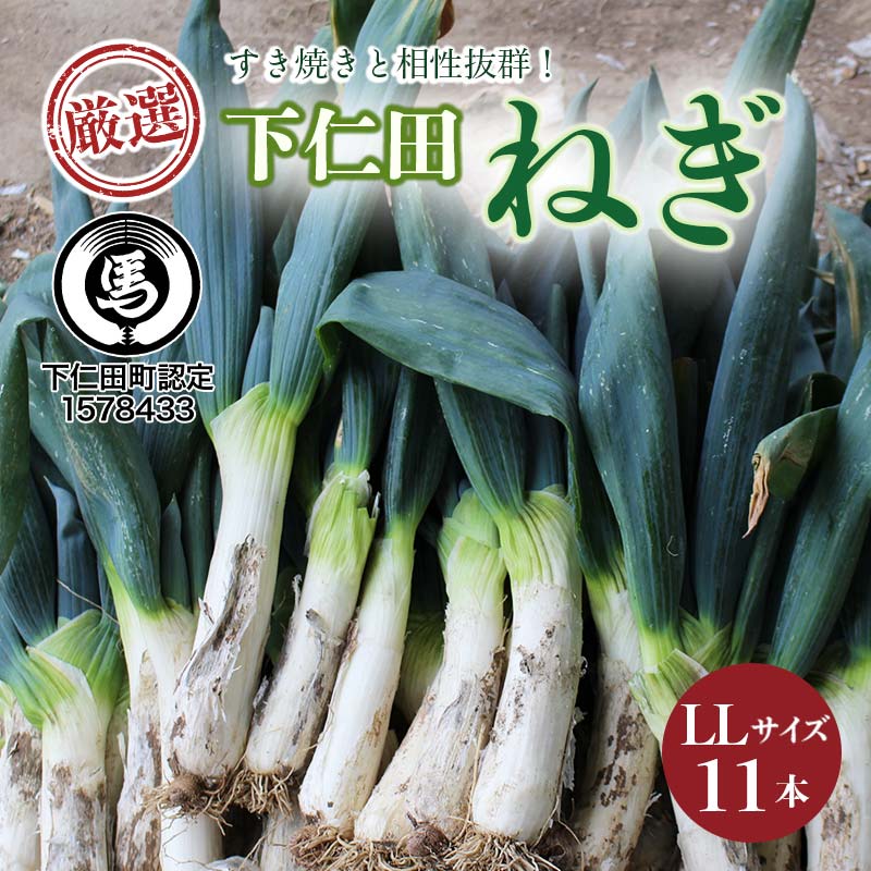 厳選!下仁田葱(LLサイズ 11本) とろける 甘い ねぎ ネギ 王様ねぎ 特産 栄養たっぷり ブランド 上州ねぎ すきやき F21K-594