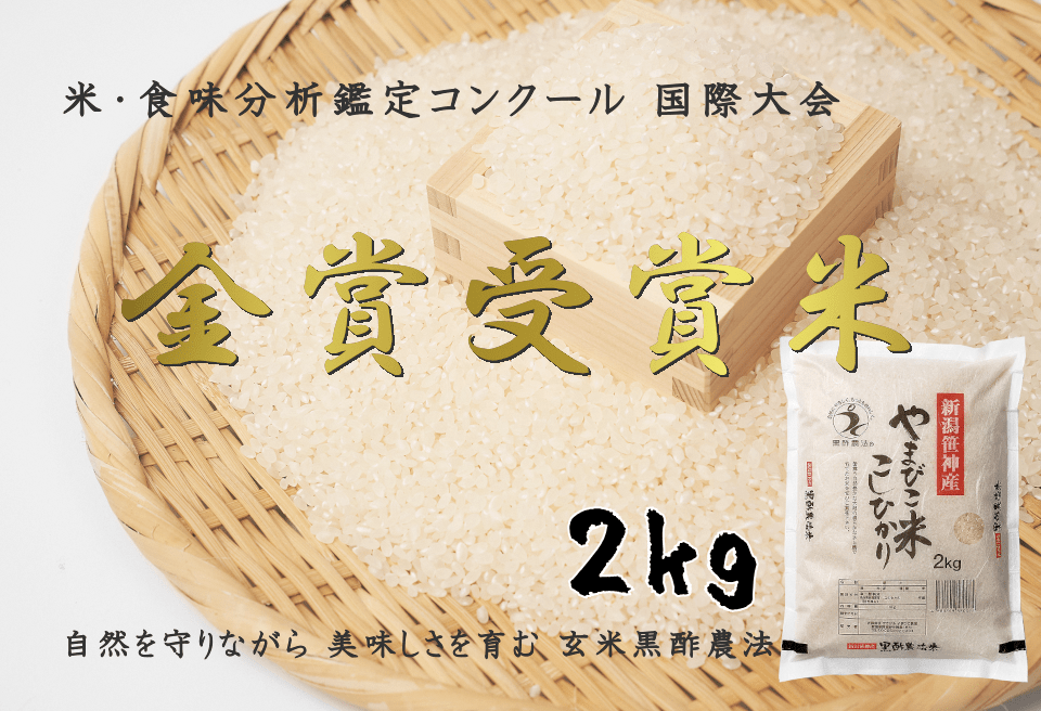 [令和6年産新米予約]玄米黒酢農法 コシヒカリ 白米 「やまびこ米」 2kg 1P01005