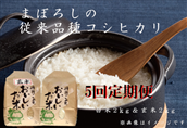 [令和6年産新米予約][5回定期便]コシヒカリ 白米2kgと玄米2kg 旧笹神村産 9月下旬より順次発送予定 1Q08050