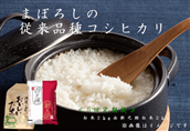 [令和6年産新米予約][5回定期便]美味しいお米食べ比べセット 旧笹神村産コシヒカリ 2kg&新之助 2kg 10月中旬より順次発送予定 1Q10050