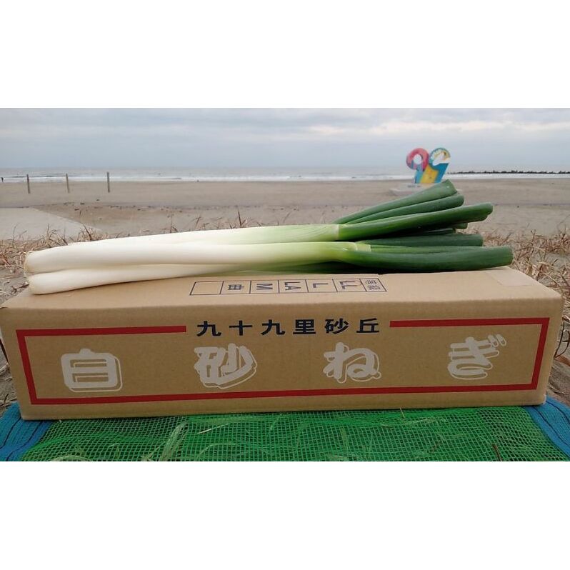 白砂ねぎ　LLサイズ　約5kg