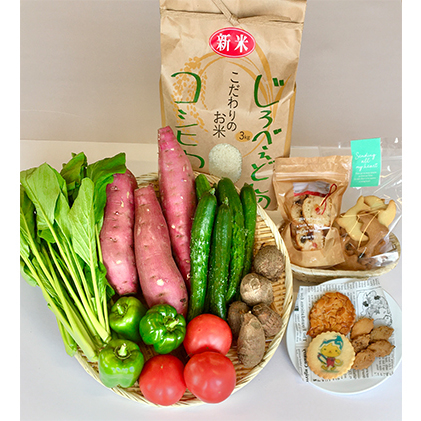 海の駅九十九里 大地のめぐみセット お米 コシヒカリ 野菜 詰合せ お菓子 焼菓子 クッキー
