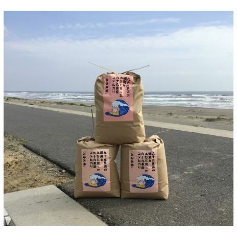 米 コシヒカリ みなみ米 5kg 九十九里産 お米 新米 白米 精米 ご飯 ブランド米 産地直送 送料無料 こめ コメ おこめ ごはん こしひかり 千葉 千葉県 九十九里 九十九里町