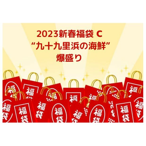 2023新春福袋C　九十九里浜の海鮮　爆盛り お楽しみ 魚貝類 魚介類 鮮魚 九十九里産 はまぐり しらる 牡蠣 伊勢海老 鮑 しらす 