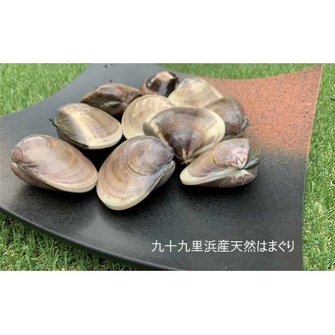 はまぐり 定期便 3ヶ月 九十九里産 天然はまぐり 1.5kg ご注文時お勧めサイズお任せ セット 貝 海鮮 海産物 海の幸 魚介 魚介類 水産 水産物 国産 天然 地元漁師が厳選 産地直送 冷蔵 冷蔵配送 千葉 千葉県 九十九里 九十九里町 定期 お楽しみ 3回