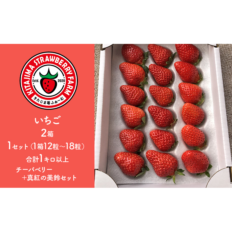 いちご2種(チーバベリー、真紅の美鈴 各1箱)食べ比べセット　1キロ以上 果物 フルーツ デザート 食後 黒いちご 