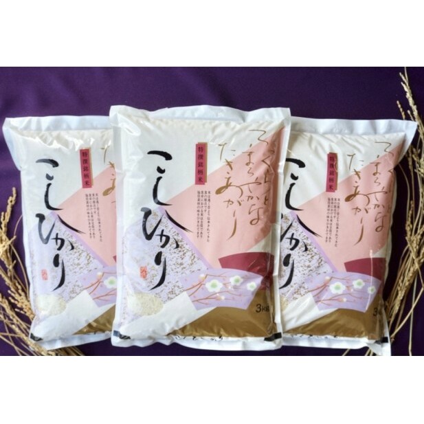 【R3年産】九十九里産コシヒカリ 3kg×3 お米 精米 9キロ