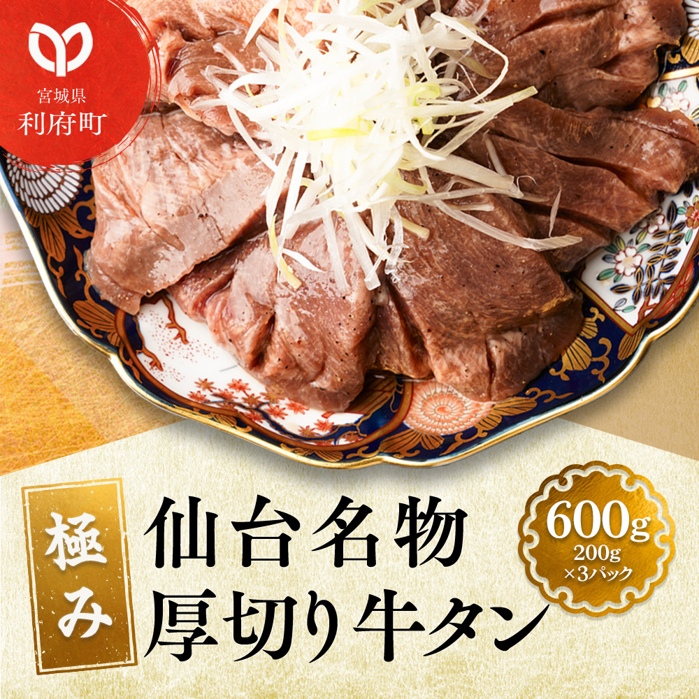 仙台名物 厚切り 牛タン 塩仕込み 600g(200g×3P) 牛たん スライス 塩味