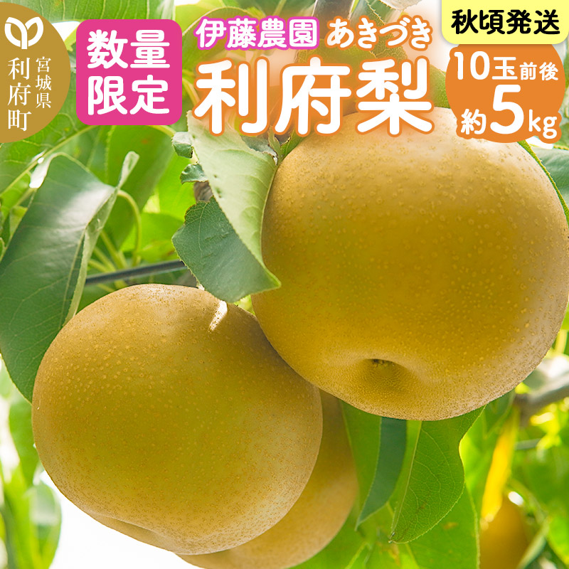 数量限定 利府梨（あきづき）5kg（10玉前後）伊藤梨園 梨の名産地 宮城県利府町産