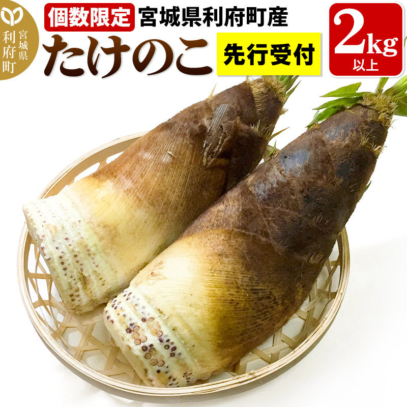 【先行受付 2026年4月以降発送】宮城県利府町産 採れたて たけのこ 皮付き2kg以上(2~6本)筍 タケノコ 野菜 国産 新鮮 旬