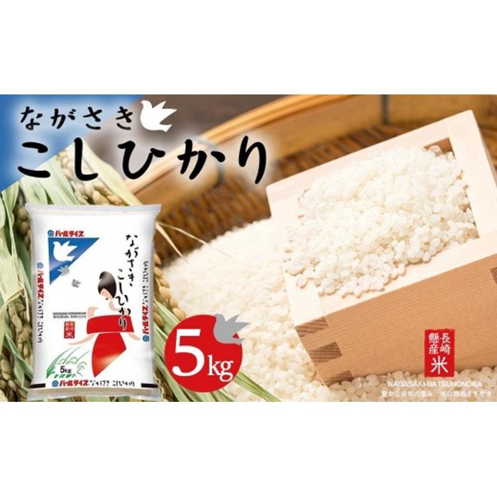 【AA040】長崎県産米 令和7年産 ながさきこしひかり 5kg