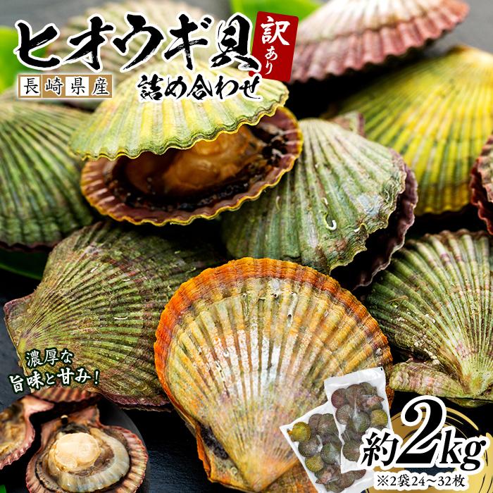 長崎県産 訳あり ヒオウギ貝 約2kg（16～30枚） 詰め合わせ
