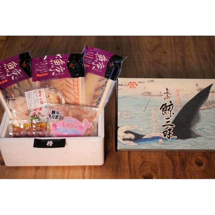 長崎鯨詰合せ　椿（つばき）【AE50】