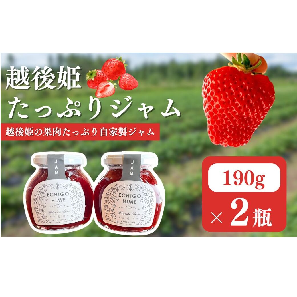 越後姫 ジャム2個入り イチゴ 苺 ジャム 上越市 新潟