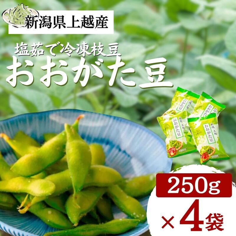 塩茹で 冷凍 枝豆 おおがた豆 1kg 茶豆 えだまめ 濃厚な甘みと香り おつまみ 国産 新潟県 上越市産 送料無料