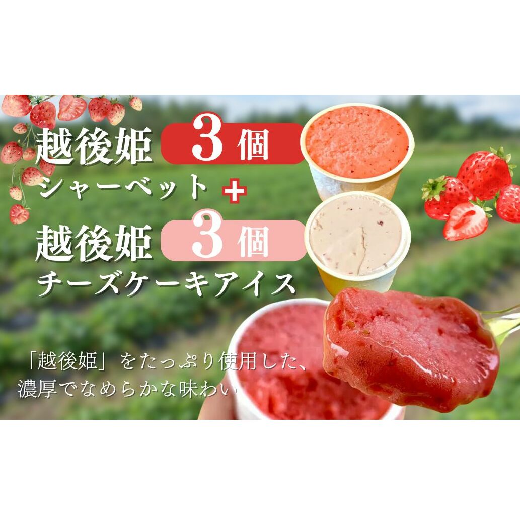 越後姫アイスクリームセット(シャーベット3個、チーズケーキアイス3個) アイス イチゴ 苺 シャーベット セット デザート おやつ 上越市 新潟