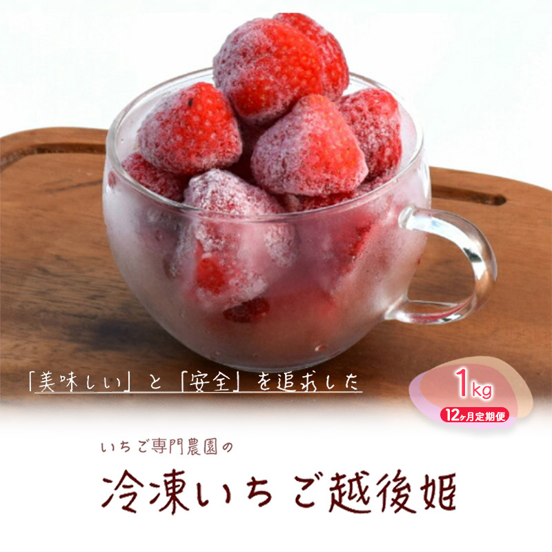 冷凍いちご 越後姫1kg 12ヶ月定期便 冷凍 イチゴ 苺 果物 フルーツ 定期 新潟 苺の花ことば