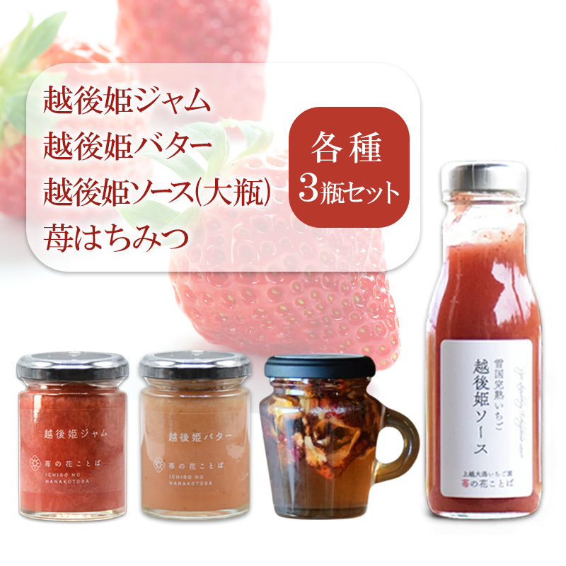 越後姫ジャム・バター・ソース(大瓶)・苺はちみつ(取手付き)各種3瓶セット いちご イチゴ 苺 加工品 お取り寄せ 新潟
