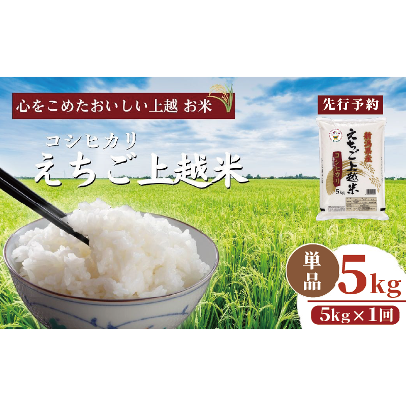 令和7年 新米 新潟県産コシヒカリ えちご上越米 5kg 新潟 米 新潟県 こしひかり 限定 おすすめ