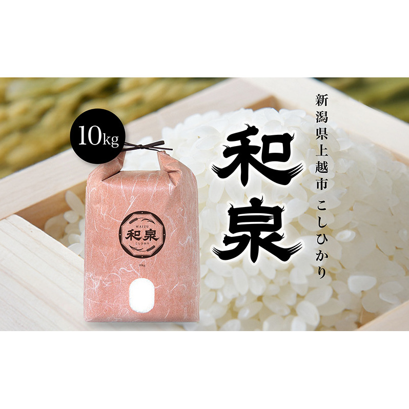 新米 令和7年 新潟県上越産 こしひかり『和泉』10kg 10キロ 上越市 精米 米 ギフト 喜ばれる