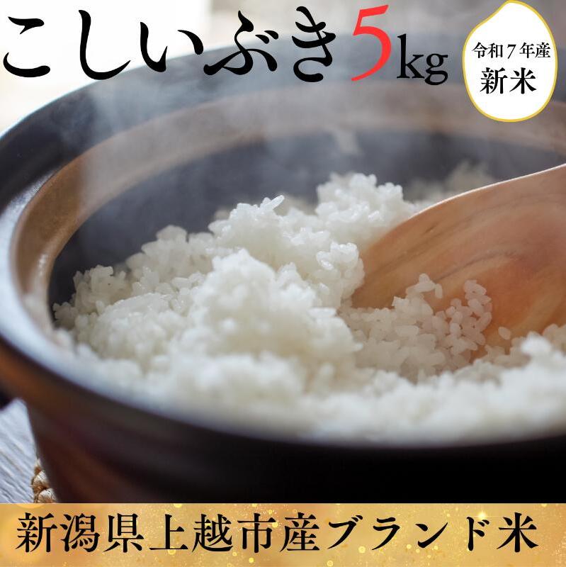 新米予約 令和7年 新潟県産こしいぶき 5kg 5キロ 白米 精米 送料無料 上越市 米ヴィレッジさんわ 低温貯蔵 品質管理徹底 先行予約