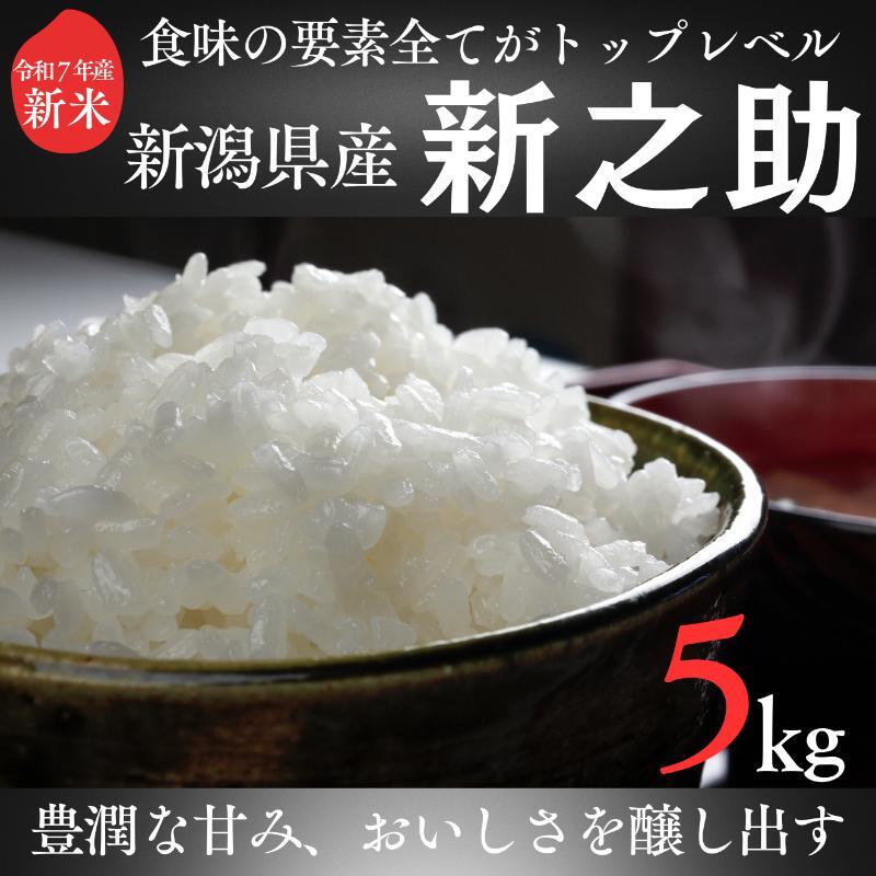 令和7年 新潟県産新之助 5kg 5キロ 白米 精米 送料無料 上越市 米ヴィレッジさんわ 低温貯蔵 品質管理徹底