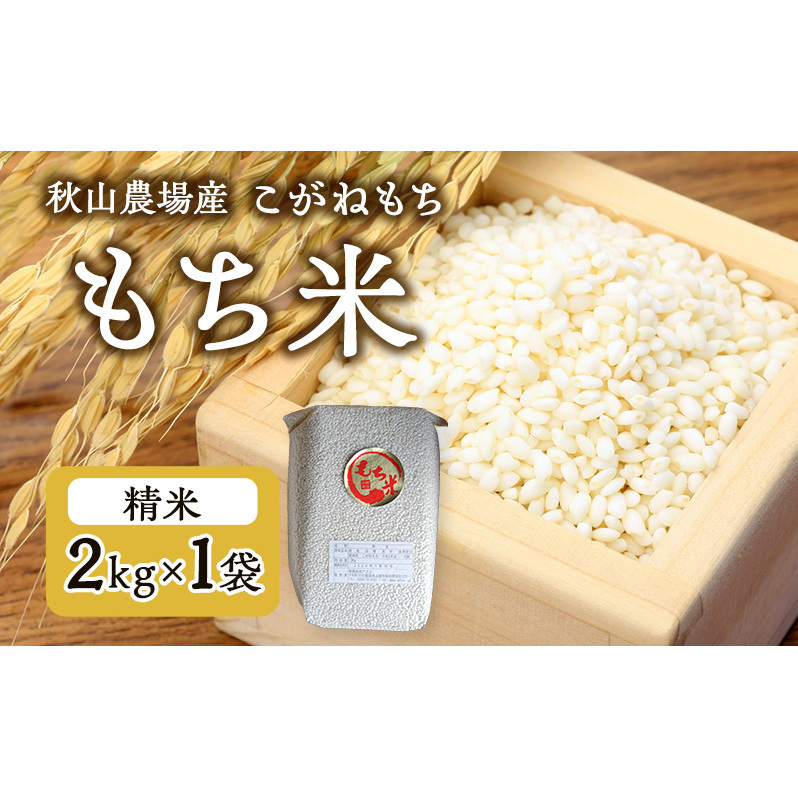 【もち米】【真空チャックパック】新潟産こがねもち(もち米)2Kg×1袋 新潟 上越