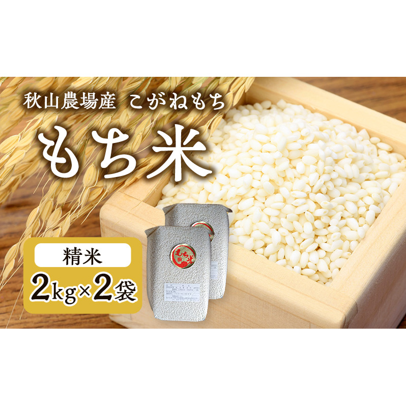 【もち米】【真空チャックパック】新潟産こがねもち(もち米)2Kg×2袋 新潟 上越