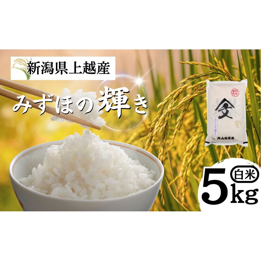 米 令和6年産 新潟県上越産「 みずほの輝き 」 白米 5kg お米 こめ ふるさと納税 新潟 新潟県産 上越