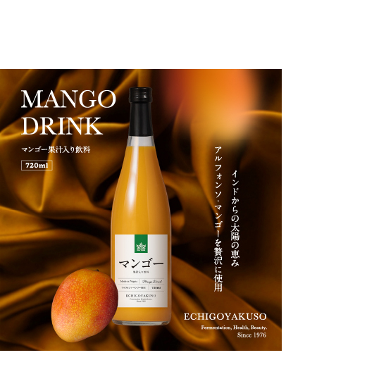 マンゴー果汁入り飲料 720ml 1本 ふるさと納税