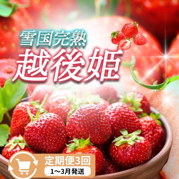 定期便 3回【1~3月発送】雪国完熟いちご越後姫 170g×6全3回 定期配送 越後姫 いちご 定期便 完熟 苺 新潟