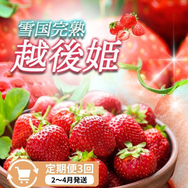 定期便 3回【2~4月発送】雪国完熟いちご越後姫 170g×6全3回 定期配送 越後姫 いちご 定期便 完熟 苺 新潟