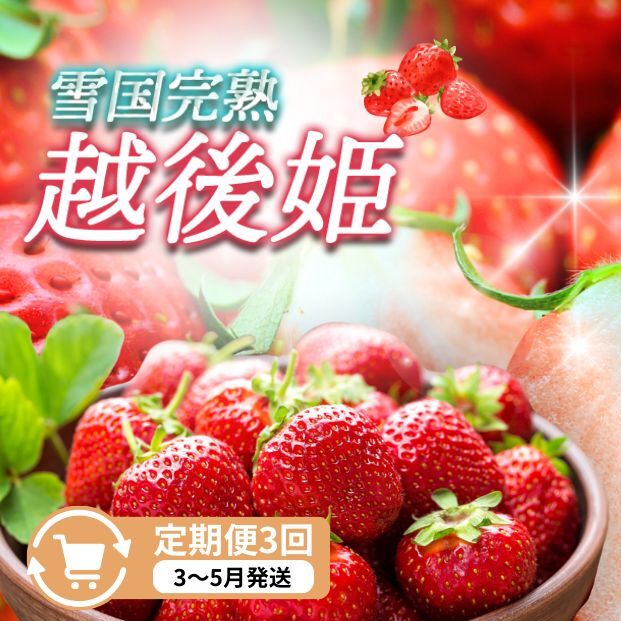 定期便 3回【3~5月発送】雪国完熟いちご越後姫 170g×6全3回 定期配送 越後姫 いちご 定期便 完熟 苺 新潟