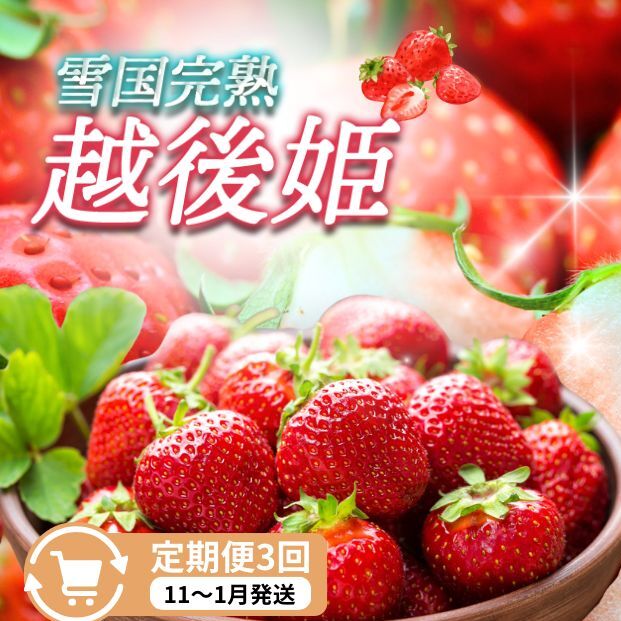 定期便 3回【11~1月発送】いちごの定期配送 雪国完熟いちご越後姫170g×2全3回 越後姫 いちご 定期便 完熟