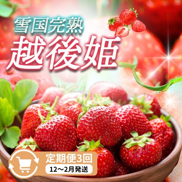 定期便 3回【12~2月発送】いちごの定期配送 雪国完熟いちご越後姫170g×2全3回 越後姫 いちご 定期便 完熟
