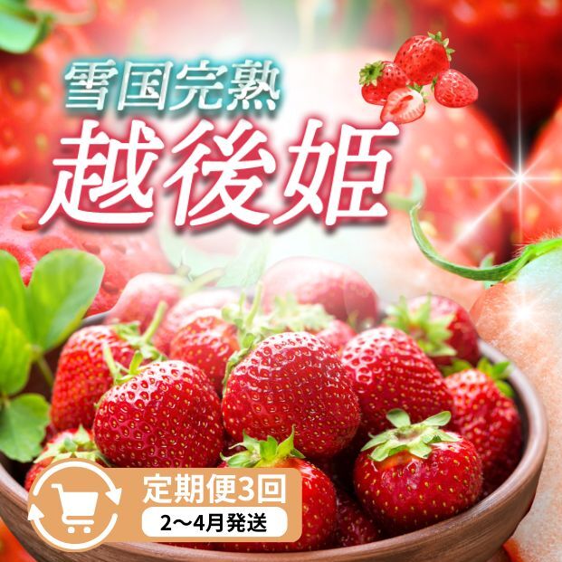 定期便 3回【2~4月発送】雪国完熟いちご越後姫 170g×2全3回 定期配送 越後姫 いちご 定期便 完熟 苺 新潟