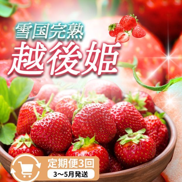 定期便 3回【3~5月発送】雪国完熟いちご越後姫 170g×2全3回 定期配送 越後姫 いちご 定期便 完熟 苺 新潟