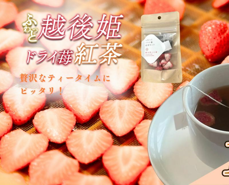 紅茶 ふわっと越後姫とふわっとドライ苺紅茶 各10袋セット 上越市 新潟 茶 苺