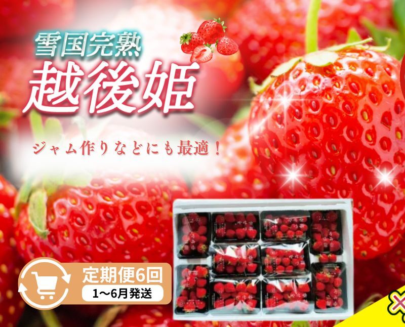 定期便 6回【1~6月発送】訳あり越後姫 約200g×10定期配送 越後姫 えちごひめ 苺 いちご 訳あり 新潟