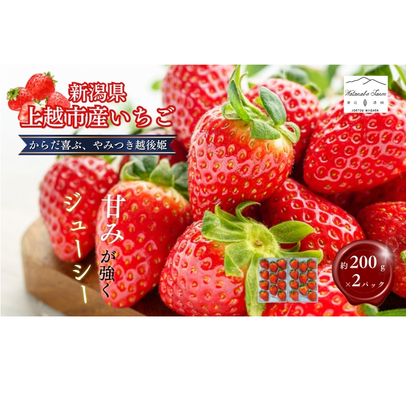 【先行予約 | 2026年2月上旬より出荷開始】いちご 中粒 カラダよろこぶ やみつき 越後姫 約200g×2パック (18~30粒入り) イチゴ 苺 上越市 新潟