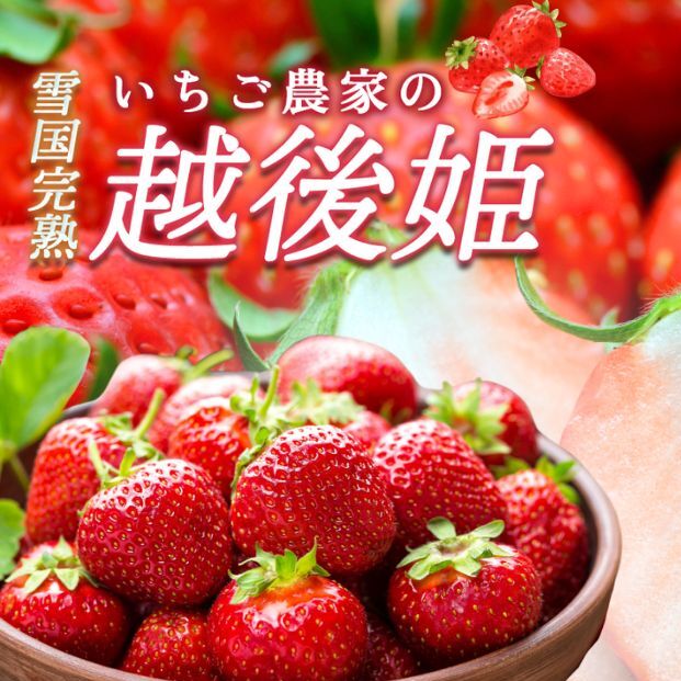 いちご 雪国完熟いちご越後姫 約170g×2P 苺 イチゴ フルーツ 完熟 越後 新潟
