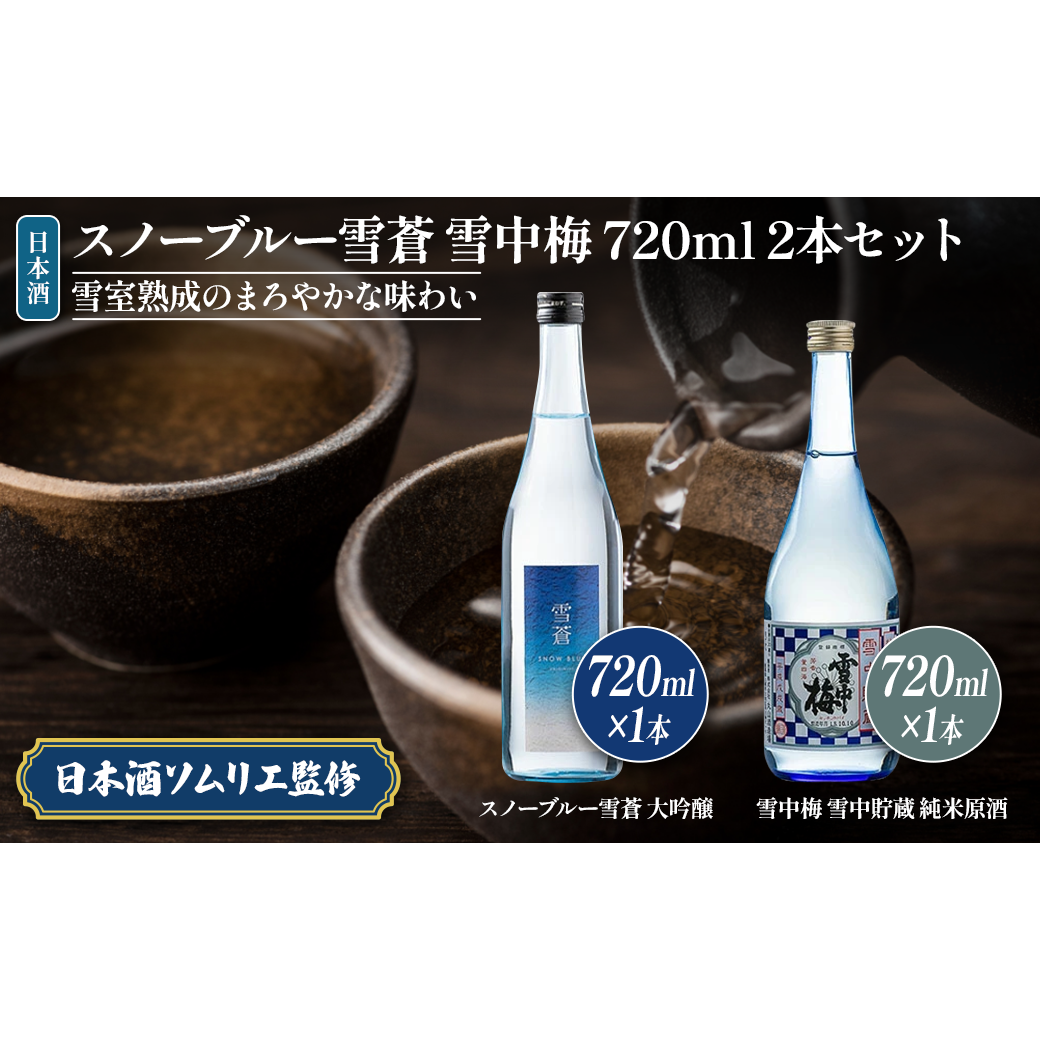 日本酒 スノーブルー雪蒼 雪中梅 720ml 2本 セット お酒 おすすめ 酒 ふるさと納税 新潟 新潟県産 にいがた 上越 上越産