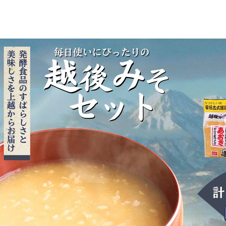 味噌 毎日使いにぴったりの越後みそセット 900g米味噌 4袋 みそ 味噌汁