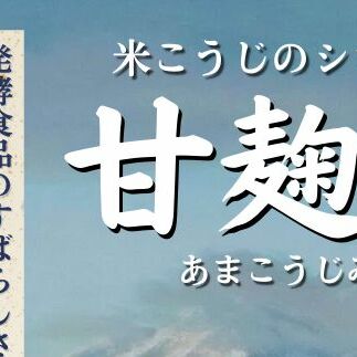 麹 米こうじのシロップ 甘麹蜜 (あまこうじみつ) 140gビン 2本セット