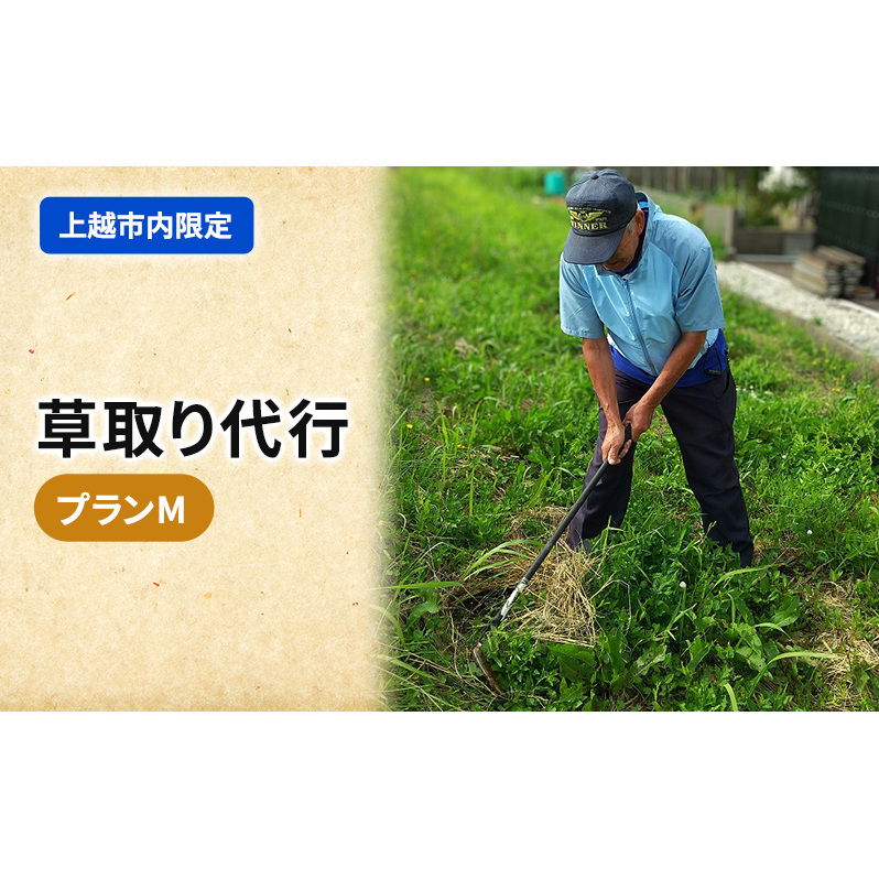 草取り 代行プラン M(上越市内限定)草刈り 手作業 雑草 除草 上越市