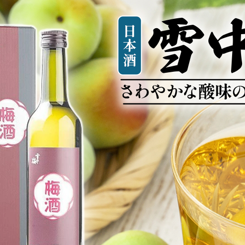 雪中梅 梅酒 500ml 化粧箱入|酒 お酒 贈答 プレゼント 贈り物 おすすめ ふるさと納税 人気 新潟 新潟県産 にいがた 上越 上越産