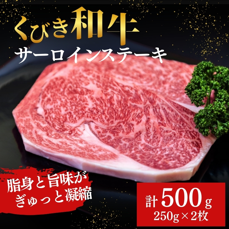 【にいがた和牛】くびき和牛 サーロインステーキ(250g×2枚)  上越市 牛肉 和牛